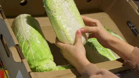 Buying Chinese cabbage in a store Stock Footage 211102116