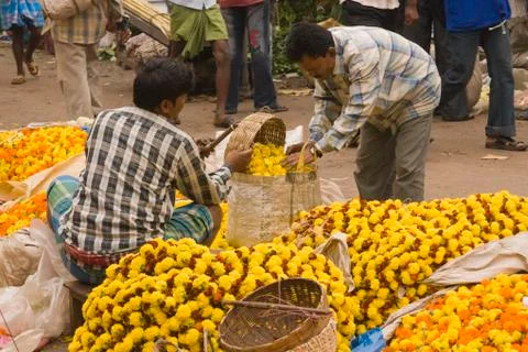 Buying Flowers Stock Photos