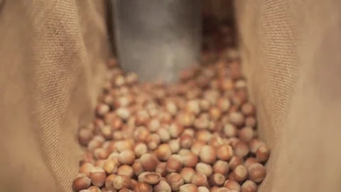 Buying Hazelnuts In bulk Stock Footage 69212549