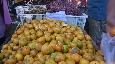 Buying local oranges Stock Footage 223293497