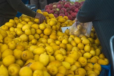 Buying organic food at the farmers' market. Fresh lemons are sold on the counter Stock Photos