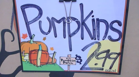 Buying A Pumpkin Stock Footage 904668
