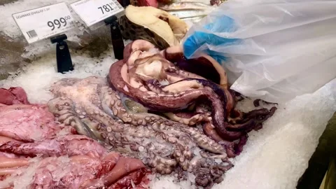 Buying squid tentacles from the fish section of the supermarket. Squids are Stock Footage 263574528