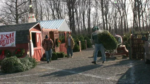 Buying tree and snow Stock-Footage 299962