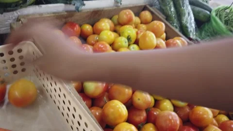 Buying Vegetables Stock Footage 151030372
