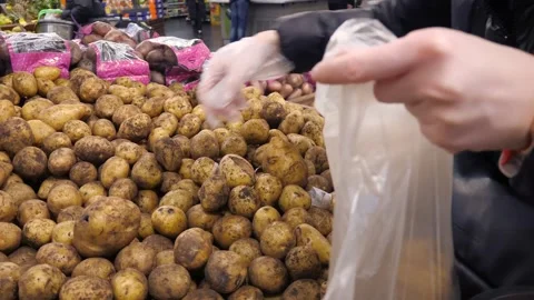 Buying vegetables at a store, finding quality and unspoiled ones. Stock Footage 293495058