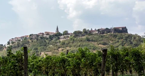 Buzet, hill with vineyard Stock Footage 74237526