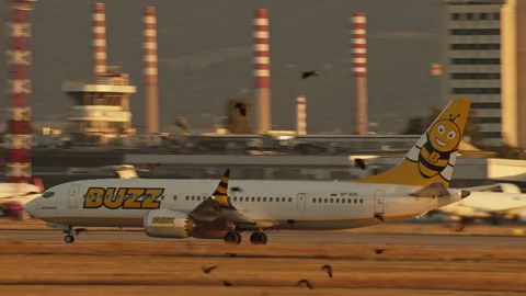Buzz Airline Boeing 737 MAX 8-200 at Sofia Airport, Bulgaria Video stock 264947850