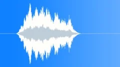 Buzz whoosh 2Sound Effect
