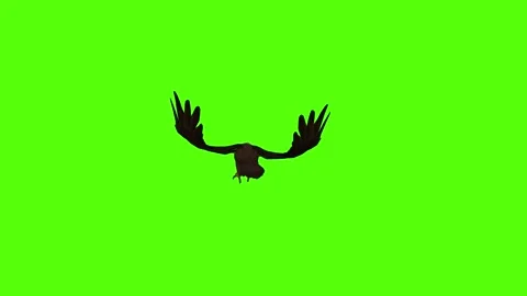 Buzzard Bite Green Screen Animation 4K Rendering Stock Footage 295557146
