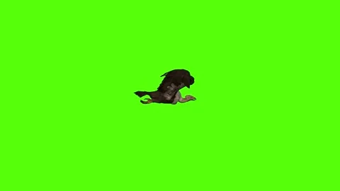 Buzzard Flying fast Green Screen Animation 4K Rendering Stock Footage 295557097