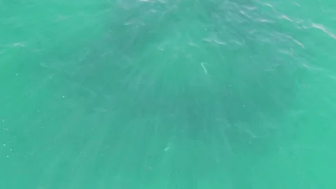 BUZZARDS BEACH EAST CAPE BCS MEXICO-2023: A Large Body Of Water With A Boat In Stock Footage 245843451