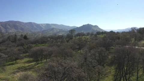 Buzzards circle the sky signaling death somewhere in the Tehachapi Stock Footage 151703306