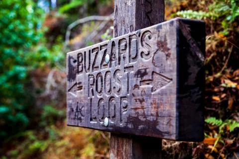 Buzzard's Roost Loop Stock Photos