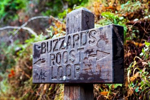Buzzard's Roost Loop Trail Walk Foto stock