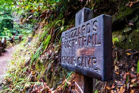 Buzzard's Roost Trail Stock Photos