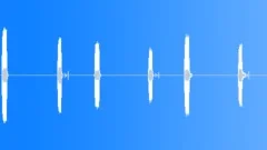 BUZZER,X-RAY Sound Effect