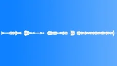 Buzzing Fly On Window GlassSound Effect
