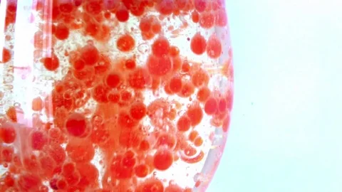 Buzzing red bubbles Stock Footage 70420397
