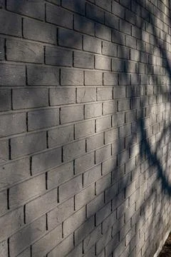 BVertical brick wall perspective with tree shadow background Stock Photos