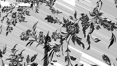 B&amp;W BLANKET-PATTERN  4K 60FPS H264 Stock Footage 344918723