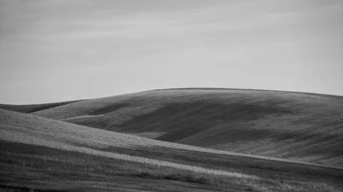 BW grass wave Stock Photos