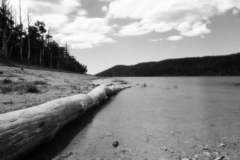 B&amp;W Lake with Log Foto stock