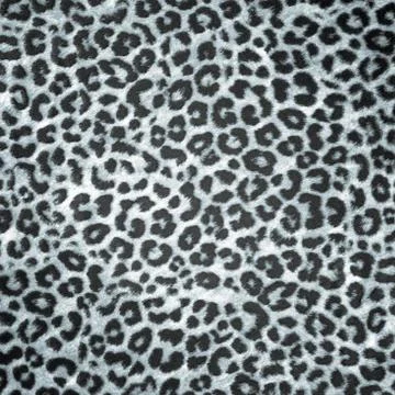 Bw leopard skin background or texture Illustrazione stock
