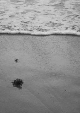 B&amp;W Ocean Tide Stock Photos