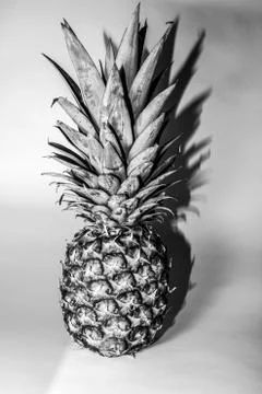 B&amp;W Pineapple Stock Photos