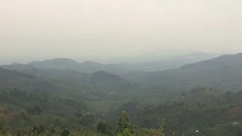 Bwindi National Park - Uganda Stock Footage 84618265