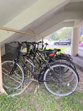 Bycicle Stock Photos