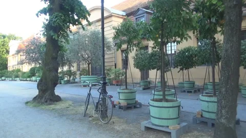Bycicle,tree and a building Stock Footage 94624611