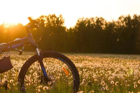 Bycycle in the field Stock Photos
