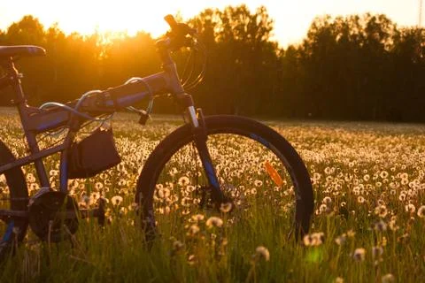 Bycycle in the field Stock Photos