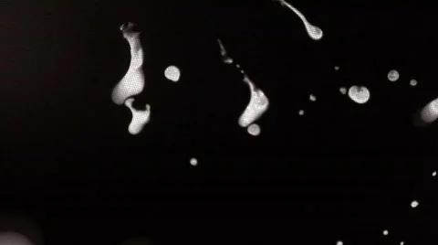 Bye Black 库存影片 105190