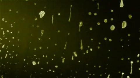 Bye Bye Green 库存影片 105177