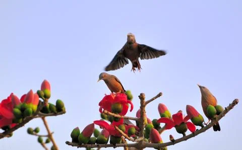 Bye bye Stock Photos