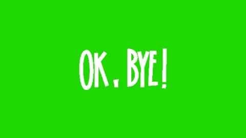 Bye Text 2D Animation Motion Graphic Stock Footage 343800430