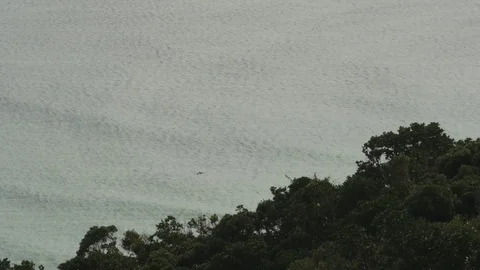 Byron Bay Lighthouse Kiosk Cafe Distant Small Pod of Dolphins Near the Cape G Stock Footage 84366367