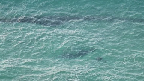 Byron Bay Lighthouse View waves in shallows 1 Stock Footage 84592045