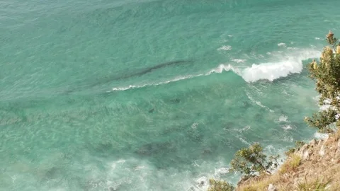 Byron Bay Lighthouse View waves and Hillside 3 Gh4 4K H264 4K 1 Stock Footage 84707687