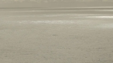 Byron Bay Looking From Lighthouse Wide Ocean Humpback Whale Breaching Stock Footage 84359912