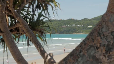 Byron_Bay_beaches Stock Footage 85009584