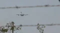 C-17 maneuvers - 2 - coming right at us HD Footage
