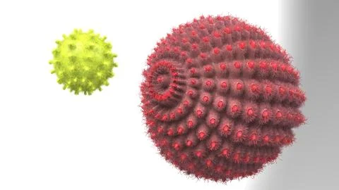 C-19 Stock Illustration