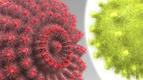 C-19 Stock Illustration