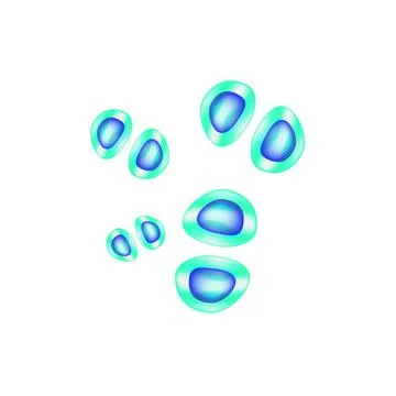 C. glabrata candida. Pathogenic yeast-like fungi of the Candida type Stock Illustration