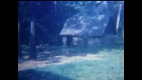 C-J Program College Junior. College Girls (101) Stock Footage 237367132