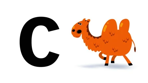 C letter big black like camel cartoon animation. Animal loop. Stock Footage 182935306
